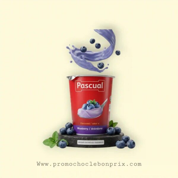 PASCUAL YAOURT CASSIS