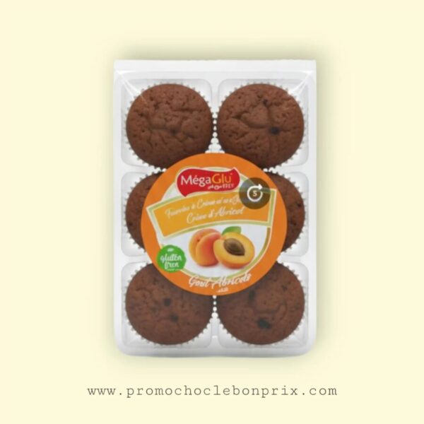 MEGAGLU MADELEINES T6