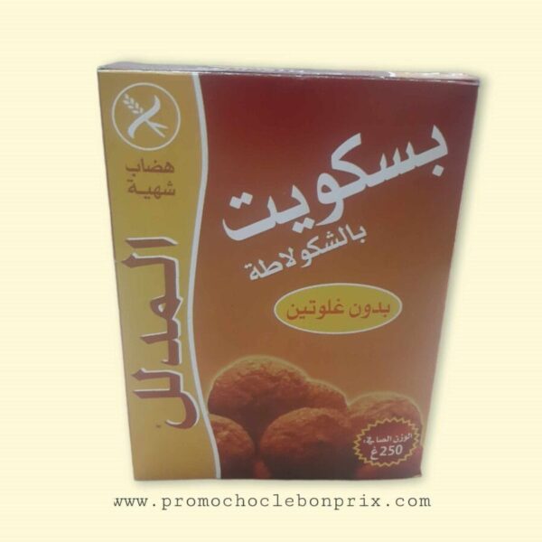 LE GATE BISCUITS CHOCOLAT.