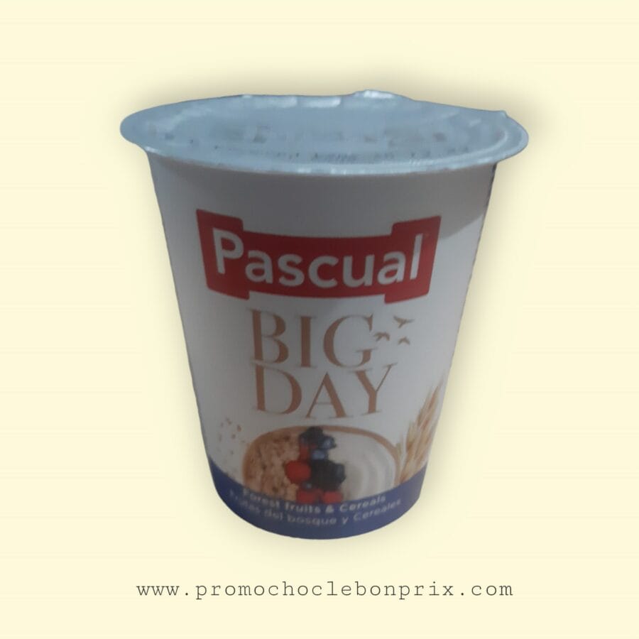 PhotoRoom-20231225_194929.png PASCUAL BIG DAY FRUIT DES BOIS – Image 1