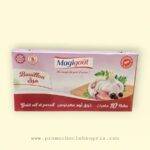 MAGIGOUT CUBES T10 GOUT AIL&PERSIL