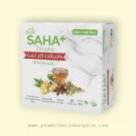SAHA+ TISANE GAZ ET COLON
