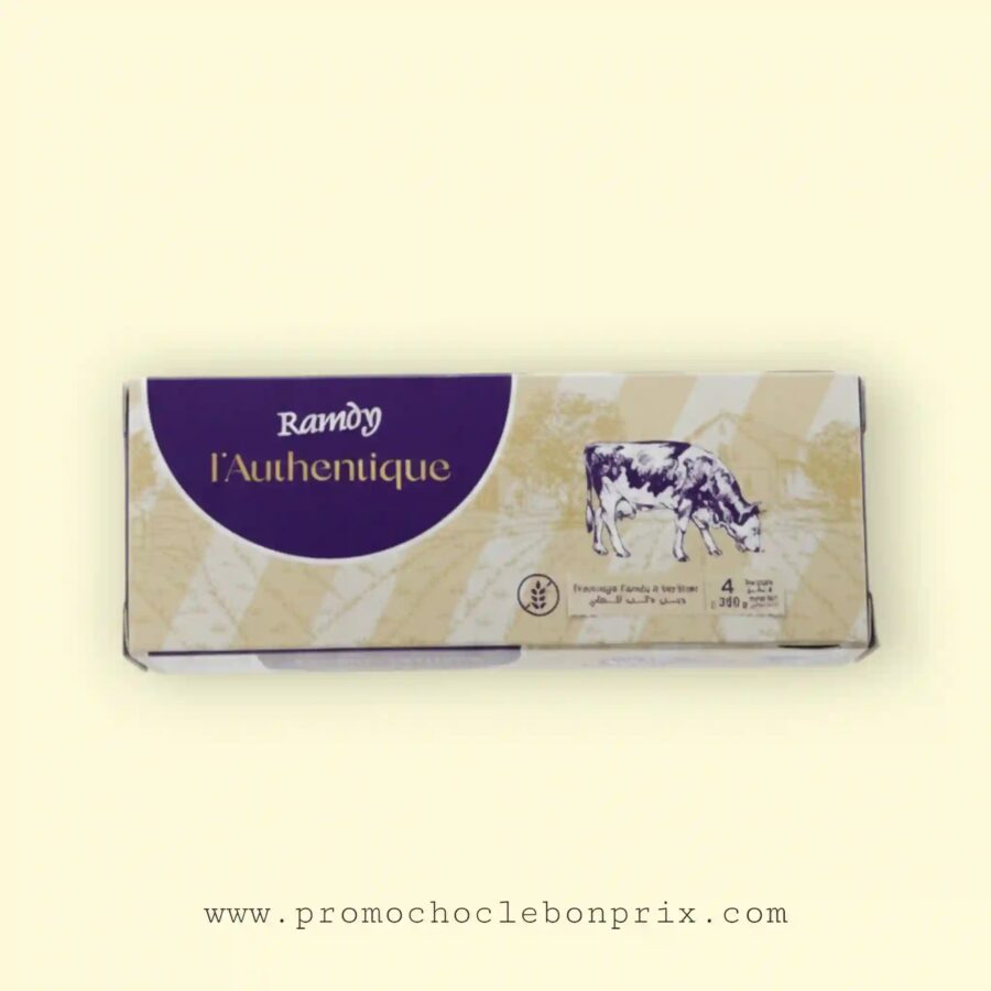 2026/01/1000159031-1.jpg RAMDY FROMAGE FONDU 300G T4 – Image 1