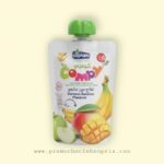 COPIAM COMPY COMPOTE GOURDE POMME BANANE MANGUES