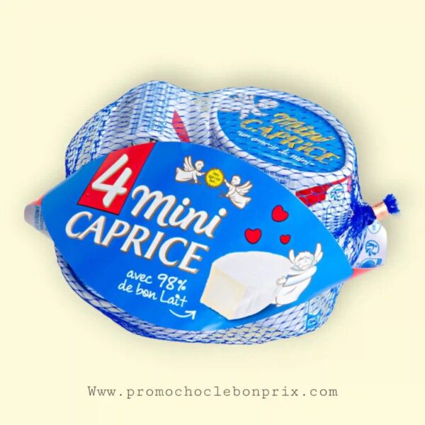 CAPRICE DES DIEUX MINI T4